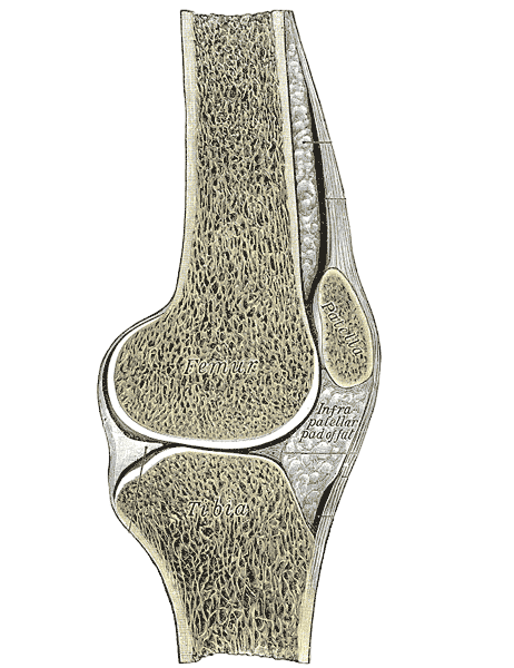 Bursitis