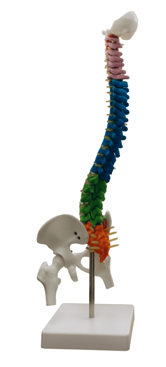 ¿Cómo mejorar el dolor lumbar?